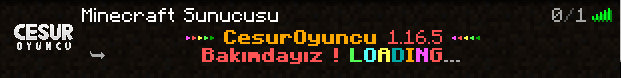 bakım.png