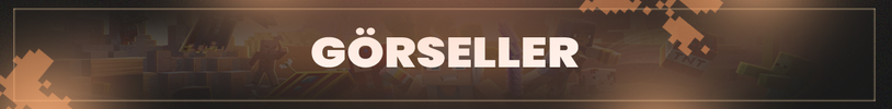 gorsel.png