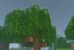 resim_2024-02-18_125822448.png