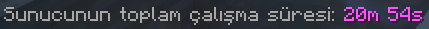 Sunucu-Bilgileri.png