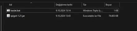 Ekran görüntüsü 2024-10-09 153443.webp