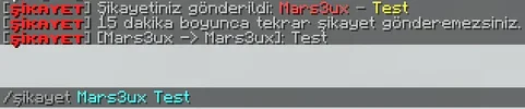 report.webp