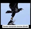1775674392684.webp