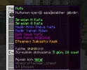 gizemlikutu3.webp