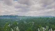2026-04-29_19.13.39.webp