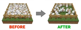 1780838414711.webp