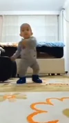 videoframe_6317.webp