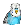 logoPNG.webp