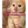 a6e28faece4acef262567e00eabc10c4.webp