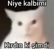 indir.webp
