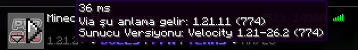 1784799234848.webp