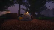 foto13.webp