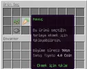 5.webp