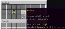 17.webp