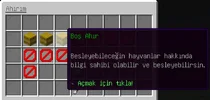 9.webp