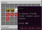 12.webp