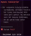 12.webp