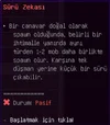 14.webp