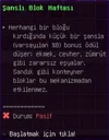 17.webp