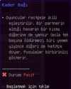 20.webp