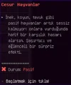 13.webp
