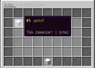 11.webp