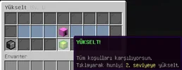 24.webp
