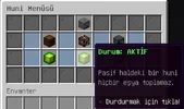 21.webp