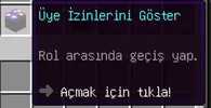 15.webp