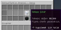 33.webp