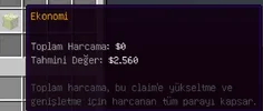9.webp