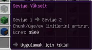 11.webp