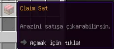 32.webp