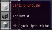 35.webp