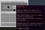 43.webp