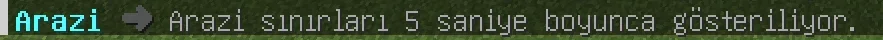46.webp