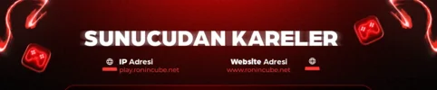ronin3.webp