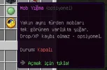 13.webp