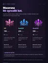 11-vip.webp