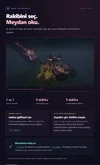 13-arena.webp