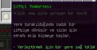 2.webp