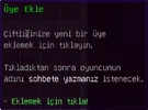 13.webp