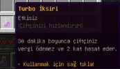 24.webp