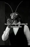 1791761771929.webp