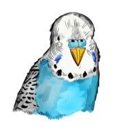 Cevalef