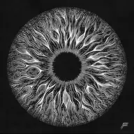 Eyes