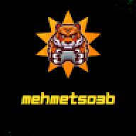 mehmet503b