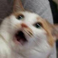 Oeno