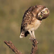 ZerQ