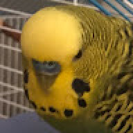 Egerekt628